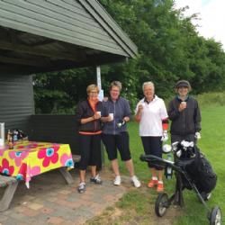 Skive Golf Festival - uge 28 - Hul 8